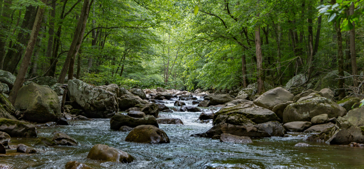 Sustainability Reports